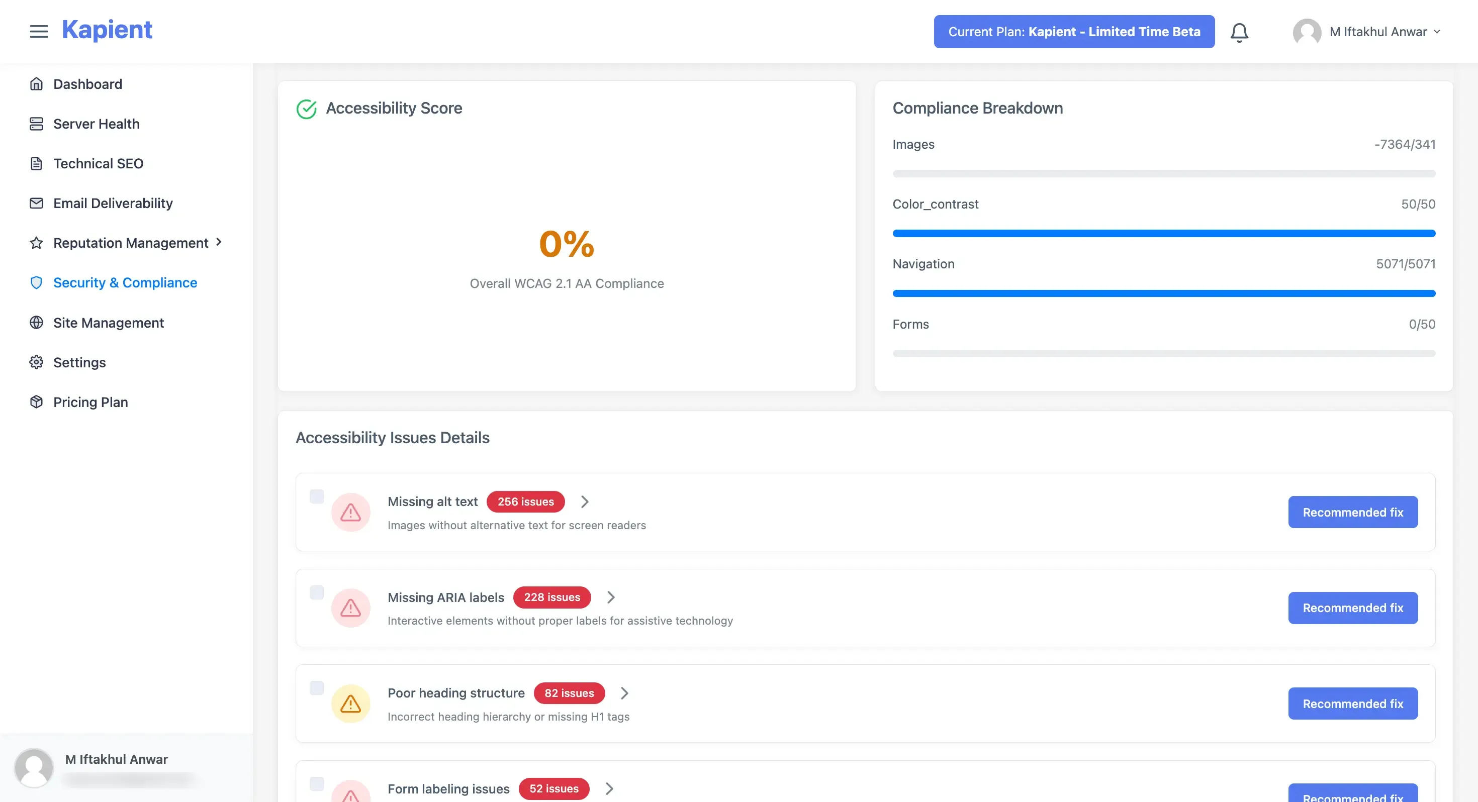 Kapient Accessibility dashboard