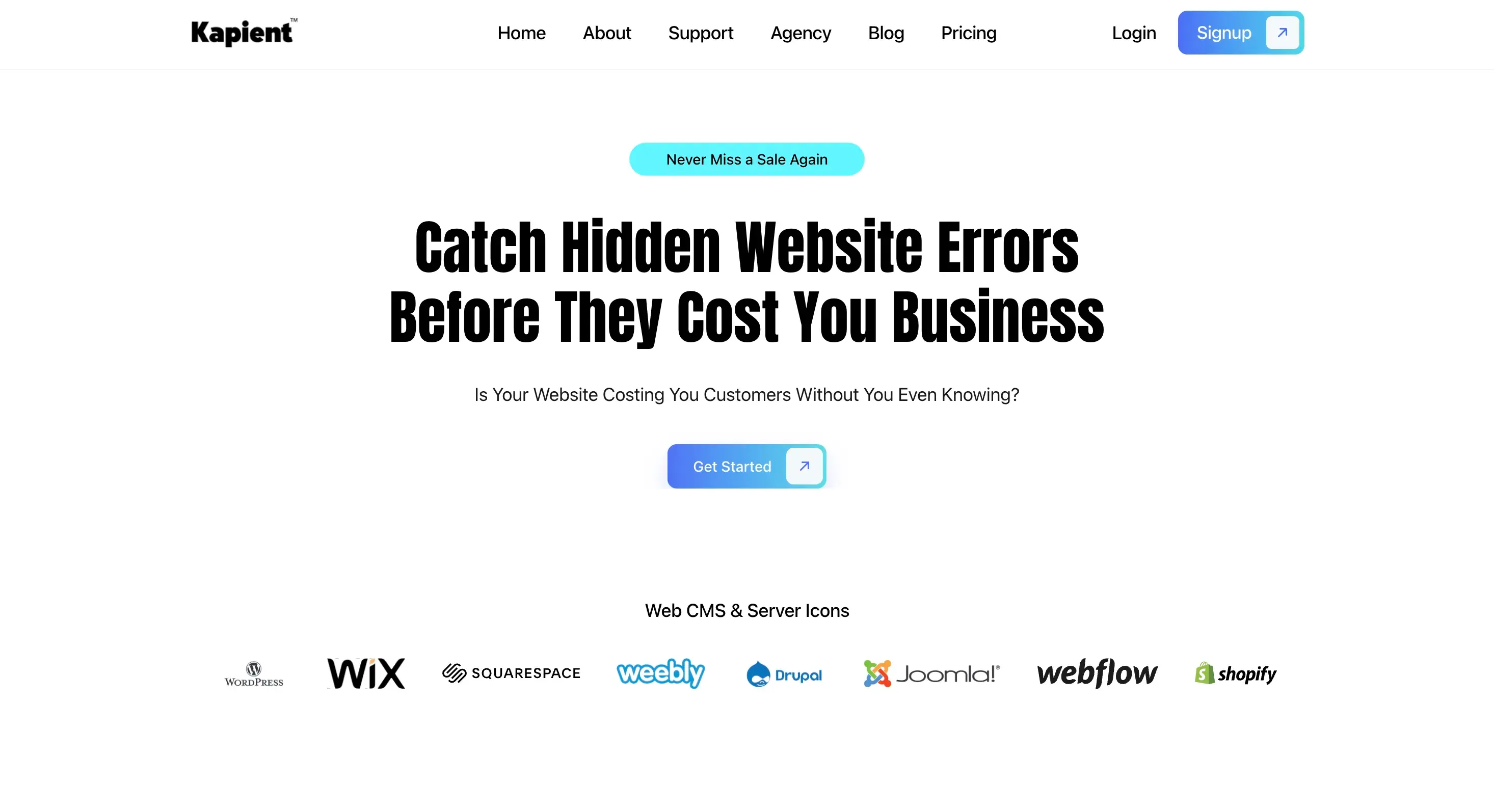Kapient-alternative-to-uptime-robot.webp