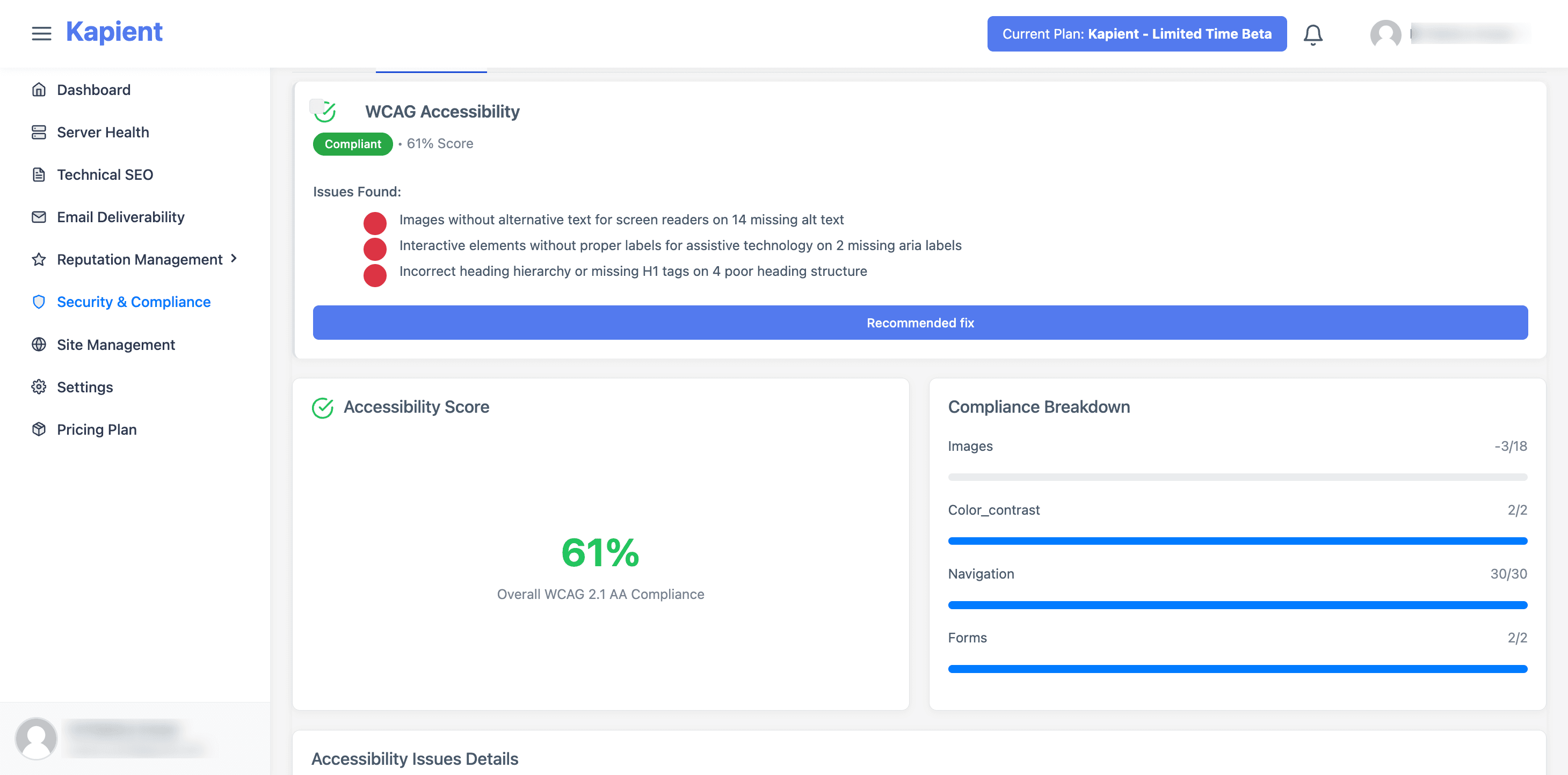 Kapient accessibility dashboard