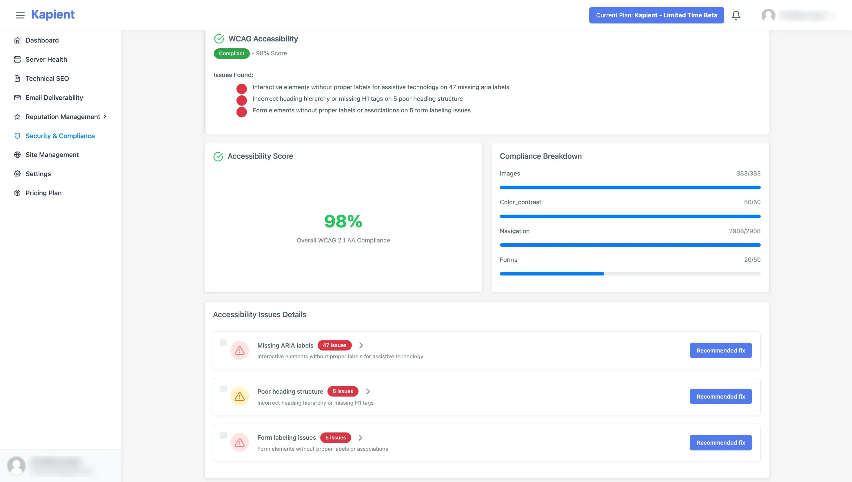 Kapient accessibility issue lists